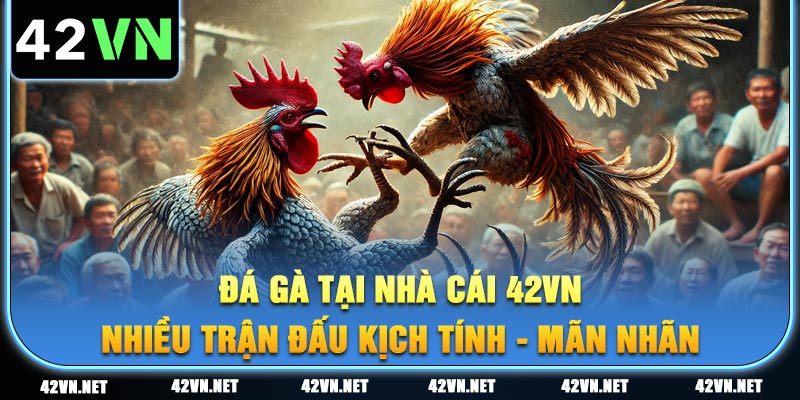Thử vận may với các trận đấu đá gà kịch tính, gay cấn