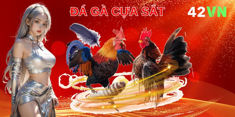 42VN hội tụ những chiến kê mạnh nhất, đẳng cấp nhất