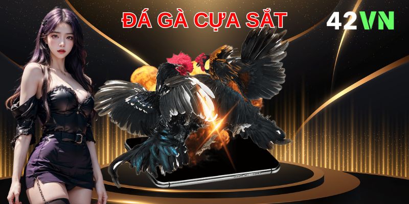 Hiểu rõ luật chơi để tận hưởng trọn vẹn những trận đấu đỉnh cao tại 42VN
