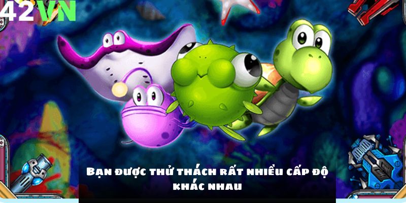 Bạn được thử thách rất nhiều cấp độ khác nhau
