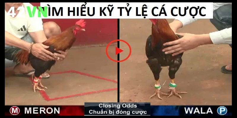 Tìm hiểu kỹ từng loại kèo cược trước khi đặt