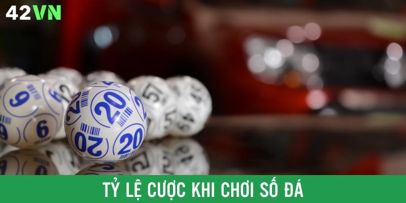 Hướng dẫn chi tiết tỷ lệ cược trong số đá